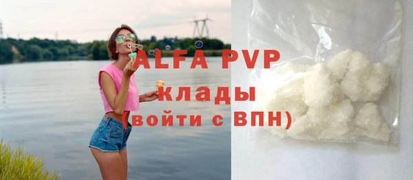 СК Алексин