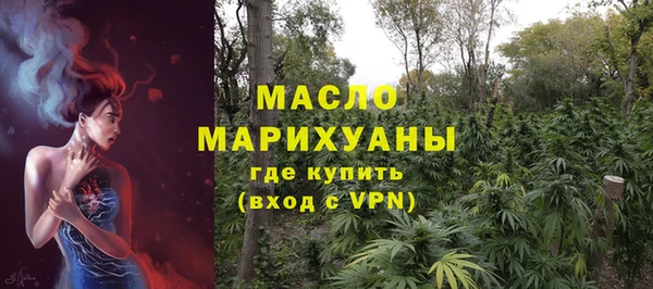 СК Алексин