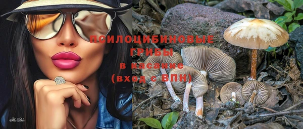 ПСИЛОЦИБИНОВЫЕ ГРИБЫ Алзамай