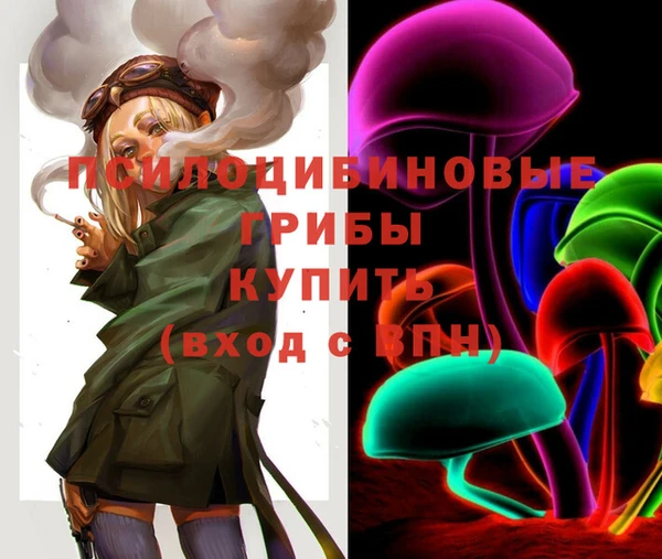 ПСИЛОЦИБИНОВЫЕ ГРИБЫ Алзамай