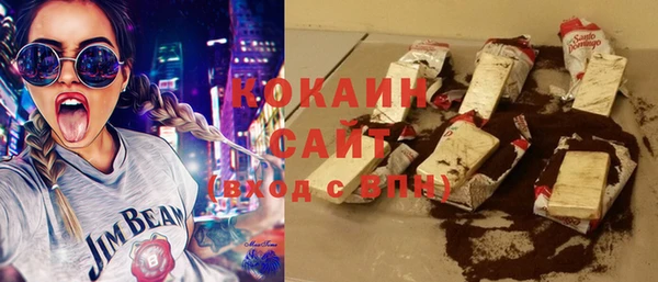 СК Алексин