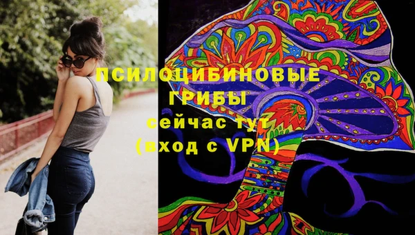ПСИЛОЦИБИНОВЫЕ ГРИБЫ Алзамай