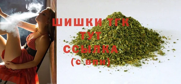 СК Алексин