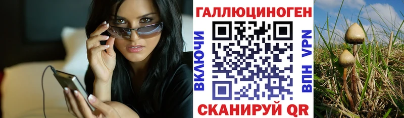 сколько стоит  Жиздра  Галлюциногенные грибы Cubensis 